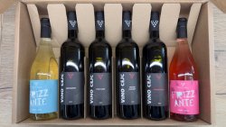 Koštovací balíček 2024 - výběr vinaře - Víno Čejč Koštovací balíček 2024 - výběr vinaře - Víno Čejč