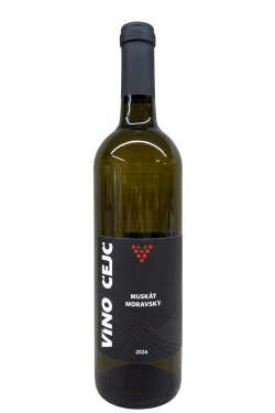 MUŠKÁT MORAVSKÝ 2024 Víno čejč MUŠKÁT MORAVSKÝ 2024 Víno čejč